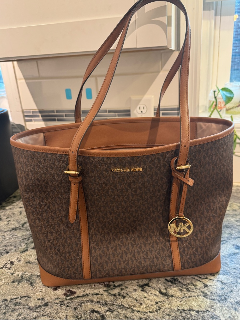 Jet Set Travel Large Logo Tote signature color